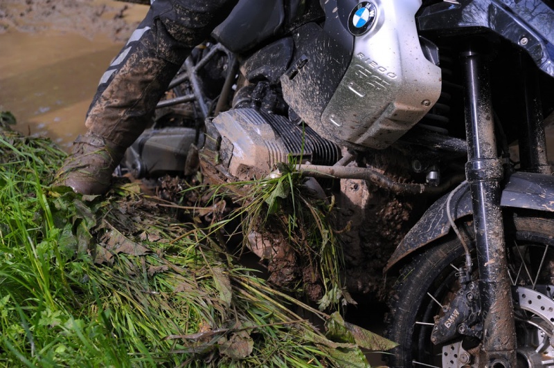 Ma première BMW c'était elle 4162913D11950