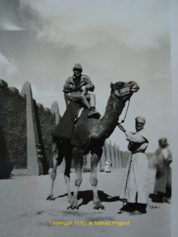 Quelques photos de Bréti en Algérie  de 1955/58 418191PrigentTimimoun1157