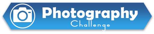 Challenges Sims à gogo ! 418736EPhotographyChallenge