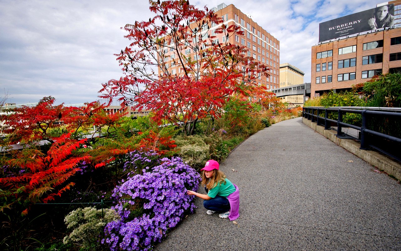 High Line 41971222102013IMGP0757x1280