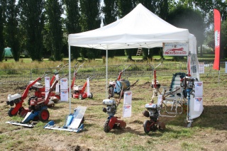 53-Comice Agricole de Loigné/Mayenne-02 Juillet 2016 421093IMG0996