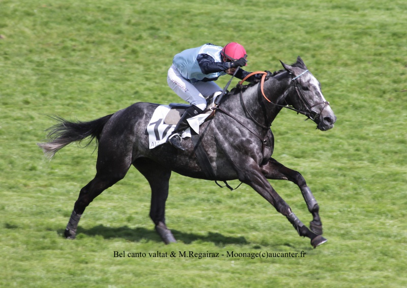 Photos Auteuil 27-04-2016 - Page 2 421125IMG1201