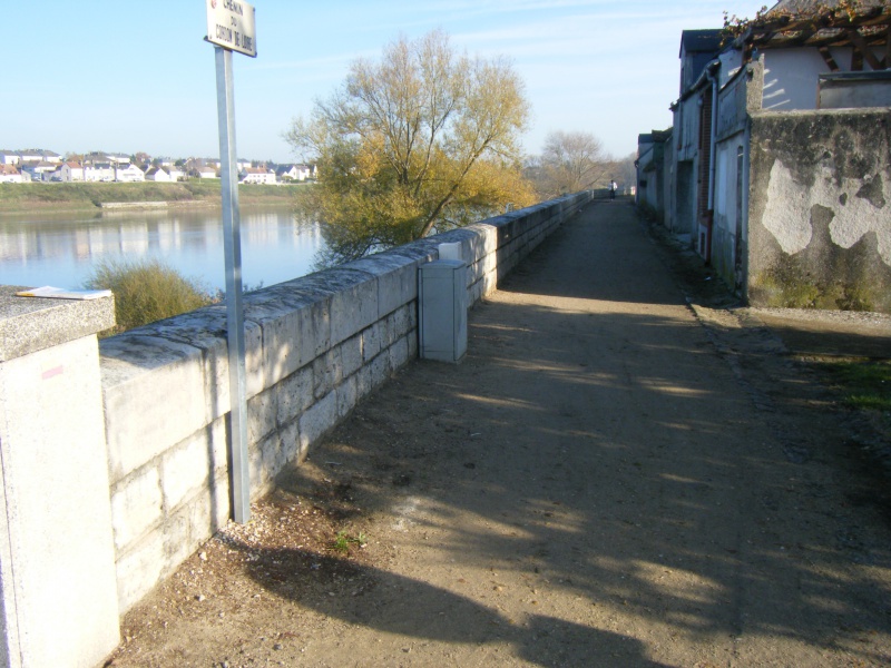 Bords de Loire - Jargeau d'une rive à l'autre (45) - samedi 3 décembre 2011 422321DSCF2195