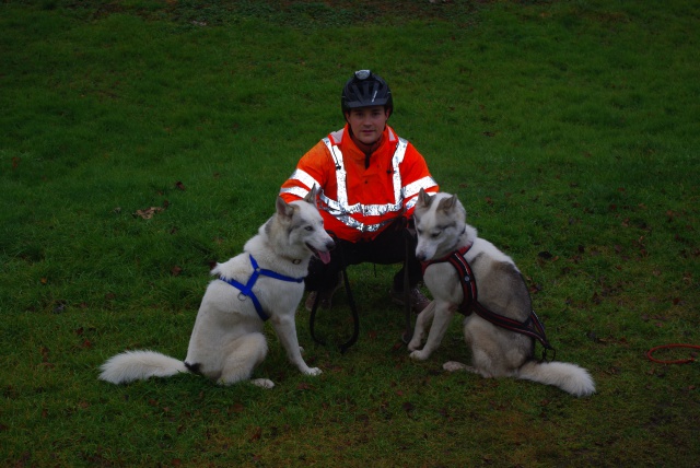 Guysmo husky 2ans et demi PAR 57 ...gardé par son éleveur (ADOPTE) 423188IMGP5906