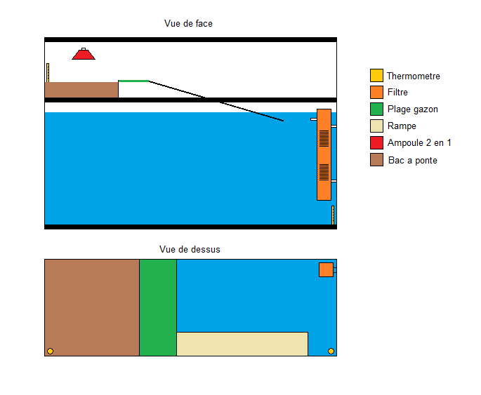 Nouveau projet 424378Projettortue6