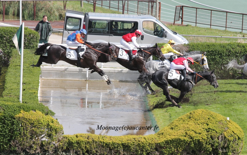 Photos Auteuil 27-04-2016 - Page 2 437148IMG1194