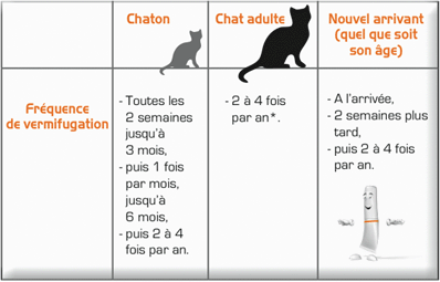 Trucs pour faire le bonheur de votre chat ! 438664tableau