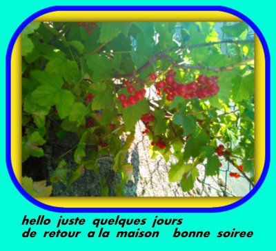 bon dimanche  438696aec895a3565b05a254479b31e847ba5f