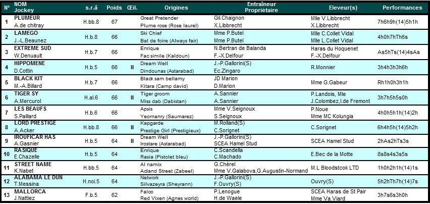 Prix Leon Olry Roederer 2015 (H., Gr.II, Auteuil) 22-11 : Street name 439505LonOlryRoederer2015