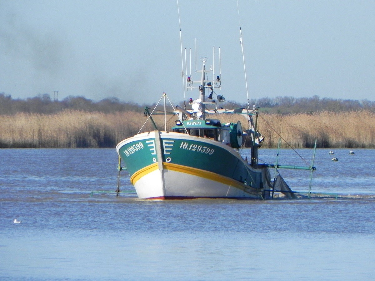 [VIE DES PORTS] Quelques bateaux de pêche (sur nos côtes Françaises) - Page 20 441159BateaupechesurCharente3