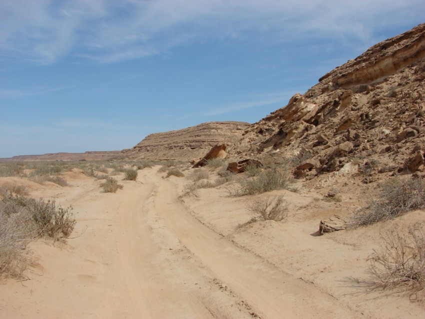 Le Grand Sud du Maroc - II 441169045