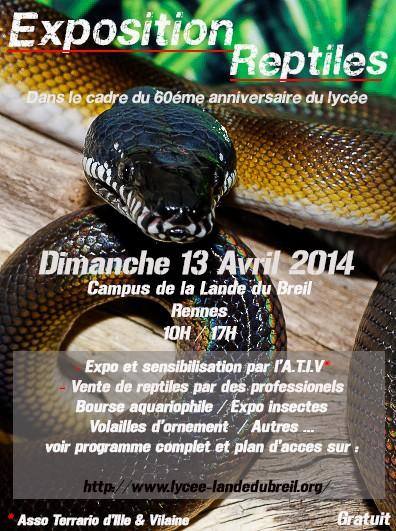 Expo/vente reptiles de Rennes 4420591689569102028856493242682021202670n