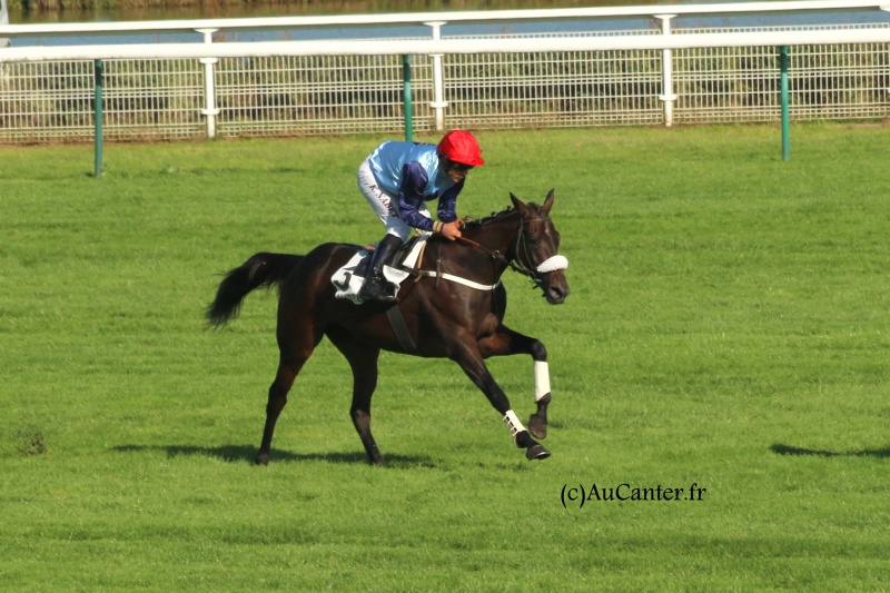 Photos Auteuil 24-09-2016 4451365J6A7217