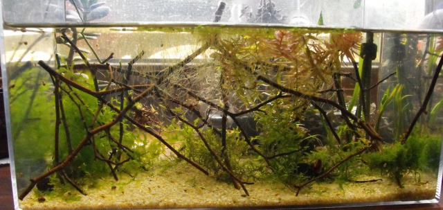 mes aquariums 44897210LLOWTECH