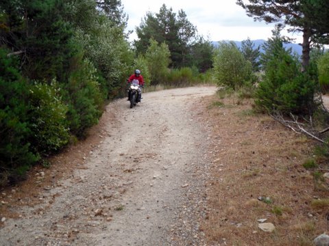 RAID Triumph TIGER 800, bonheur et galères......... 452715SDC15525