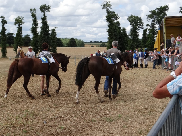 courses de poneys en bretagne 455900DSC00430