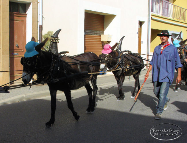 Cavalcade de Nans les Pins (Var) 2013 4577753016