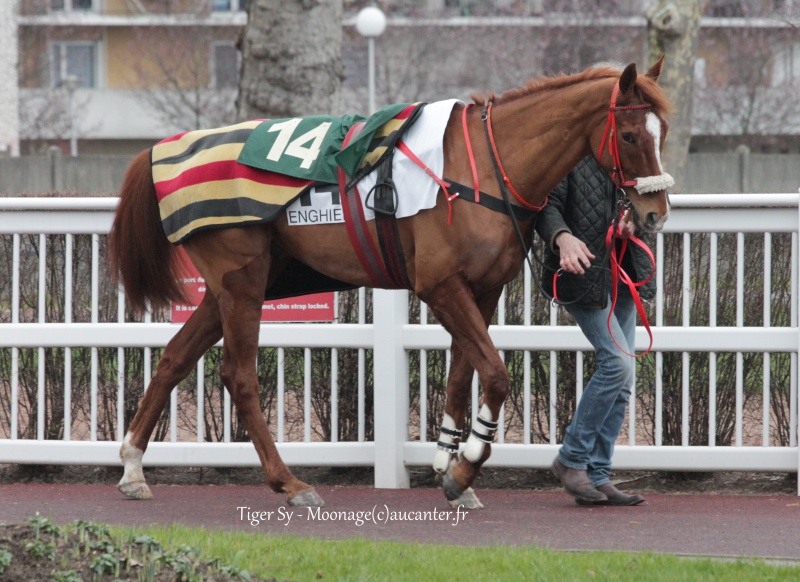 Photos Enghien 1-03-2016 457896IMG8065