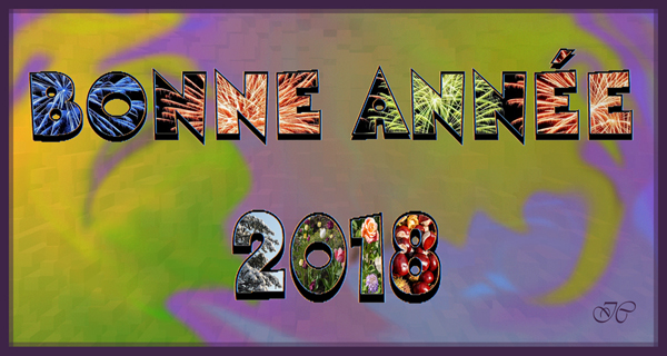 Bonne année 2018 ! (Infographie) 4595492018site