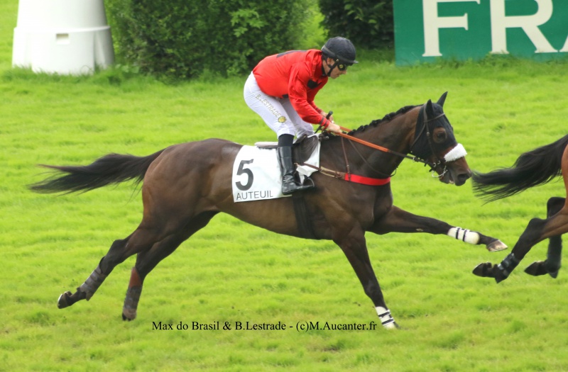 Photos Auteuil 23&27 juin 2016 - Page 2 4609935J6A4430