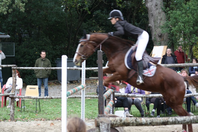 Des chevaux, un reve <3 463506CSOLEZIGNAN25NOV2012219