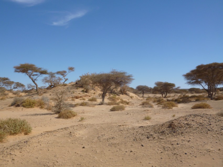 Le Grand Sud du Maroc - II 463816067