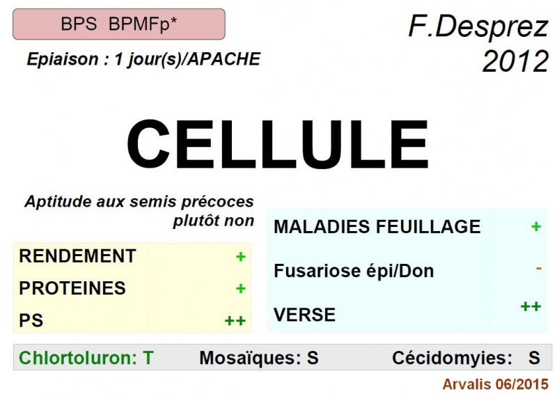 Variété barbue et terres très séchantes  463872Cellule