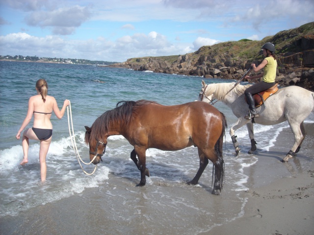 Domaine de Kerdianou...Vacances en Bretagne !!! - Page 2 464142DSCN1831