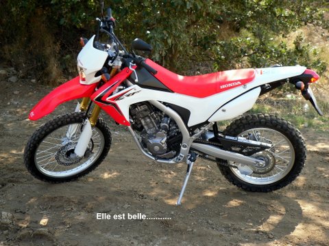 crf250l - Essai TT de la HONDA CRF250L 465987SDC15607