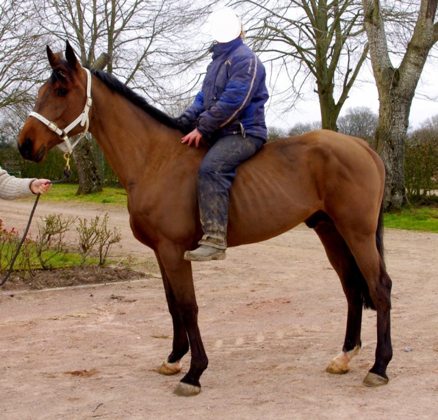 [PLACE CORINNE] CYPRIEN mais très très sage ! 471859Cyprien9