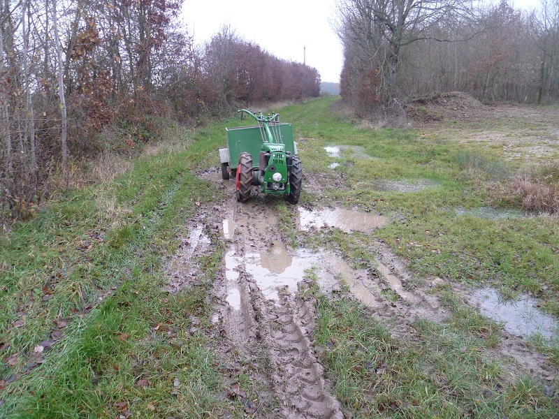 Balade avant les fêtes........en Agria 472404Retour