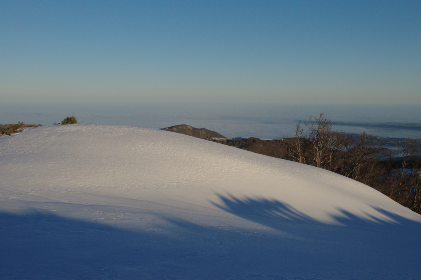 Une vie pyrénéenne de labrit des pyrénées - Page 17 479188and0119