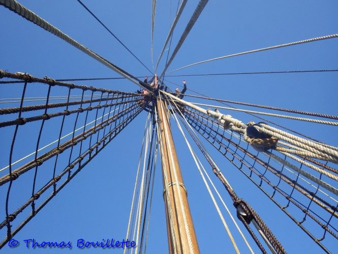 L'Hermione, une aventure. 480127IMGP2165