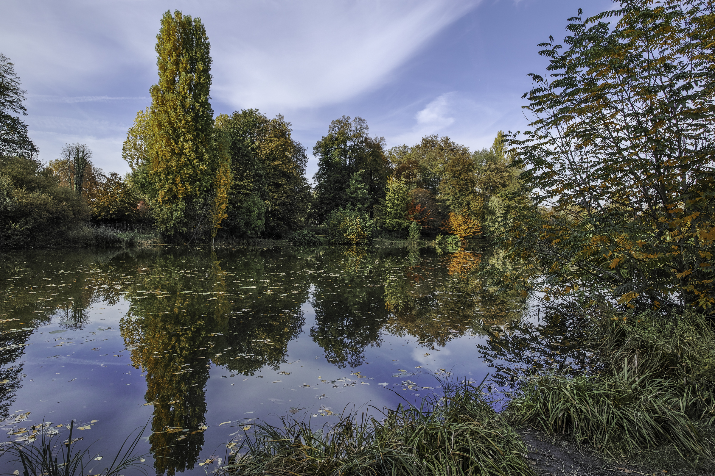 L'automne au bois (suite maj du 18/11) 480522DP0Q5725