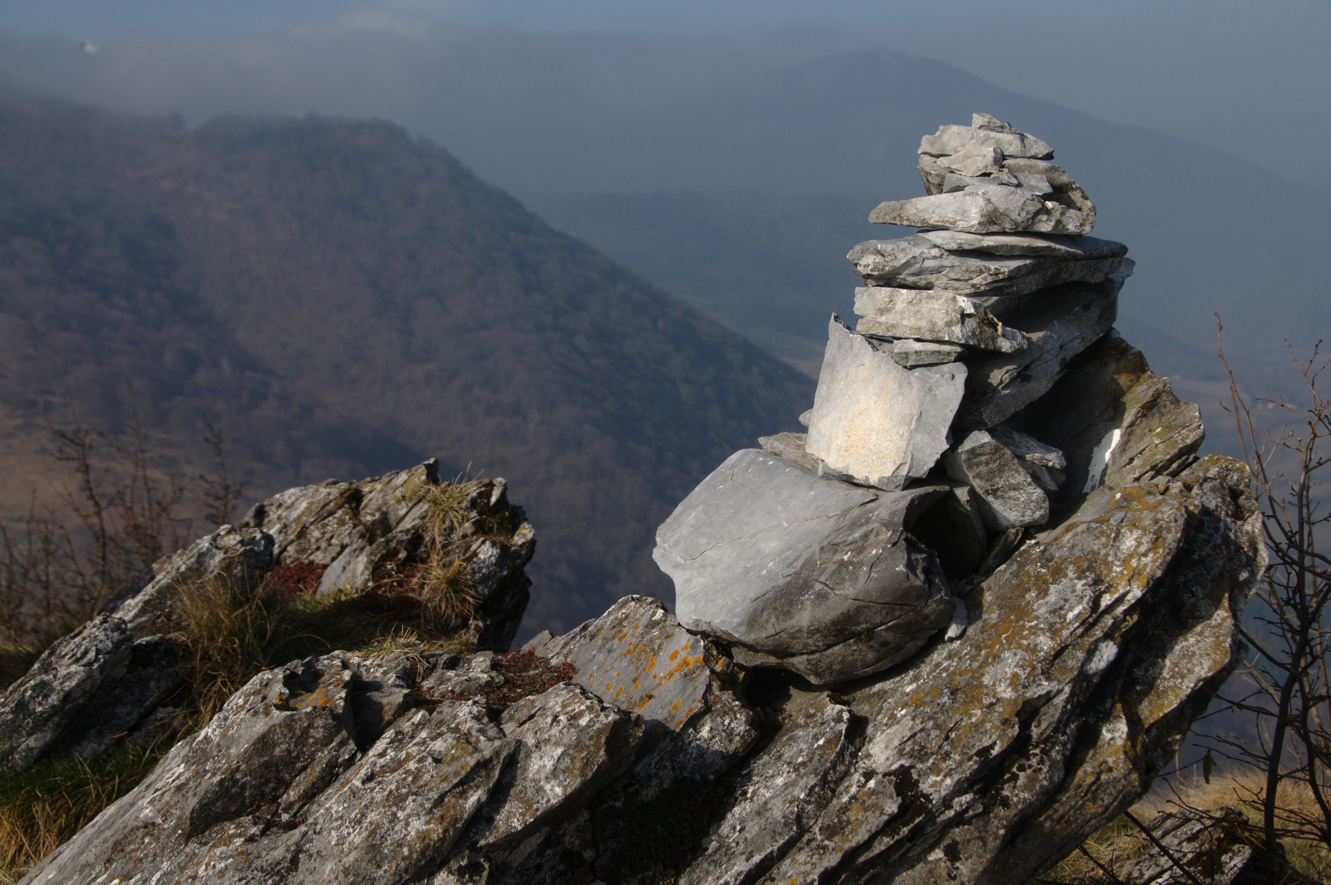 Une vie pyrénéenne de labrit des pyrénées - Page 11 481570ech0111