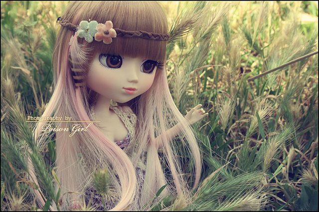 Les autres pullip de Poison Girl ! 4824195771689236a704fa8cc1z