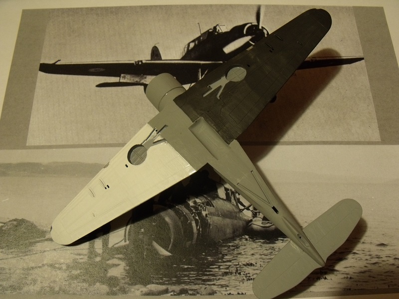British WWII Birds over Seas #02: Blackburn Skua Mk. II (Special Hobby - 1/72ème) 491443BlackburnSkua030