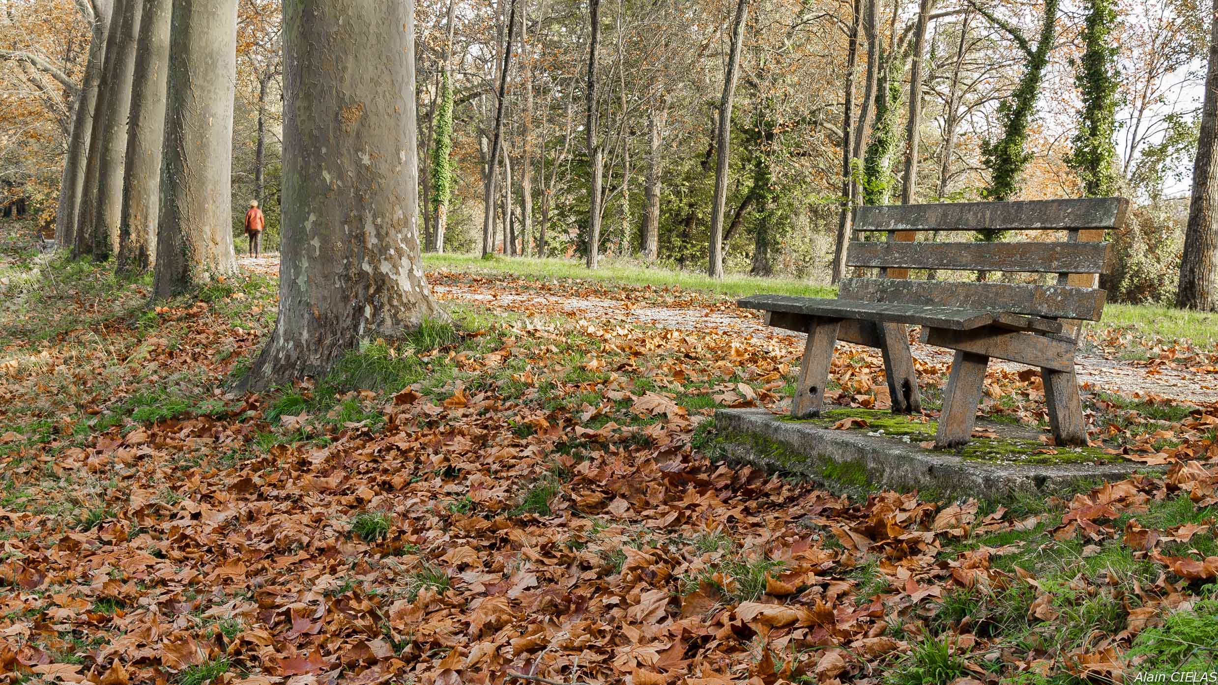 le banc  494915lebanc