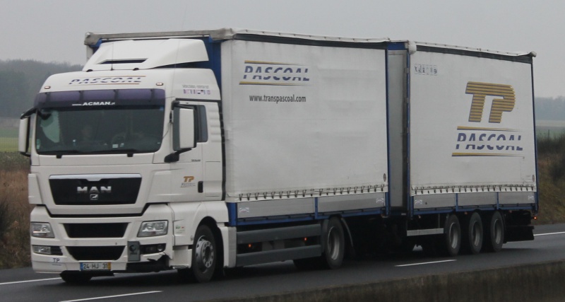 Transportes Pascoal  (Barcouço) 498170018