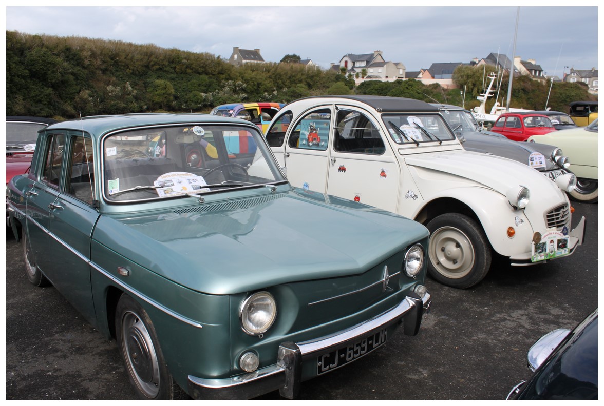 LA SORTIE des JONQUILLES du CALANDRE & TORPEDO 2016 503817IMG5907Copier