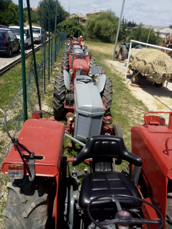 la Fête de l'Agriculture à St THEODORIT  20 et 21 Juin 2015 508044IMG20150621131328