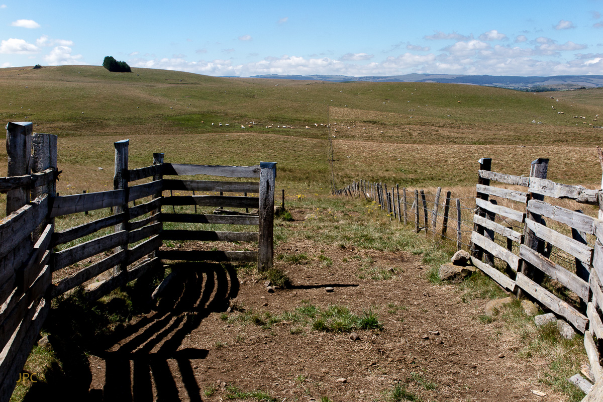 Séjour dans l'Aubrac (juillet 2016)  509777IMG0750