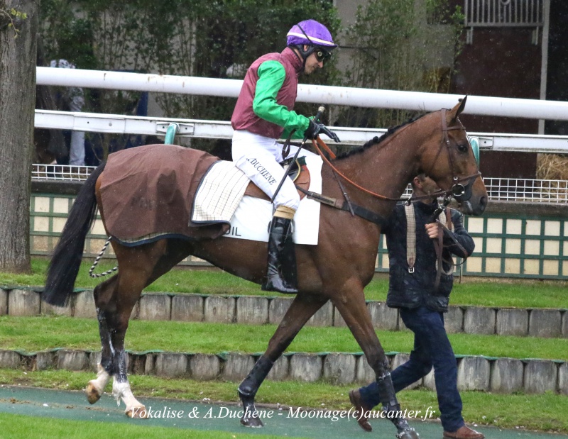 Photos Auteuil 30-04-2016 5121215J6A0356