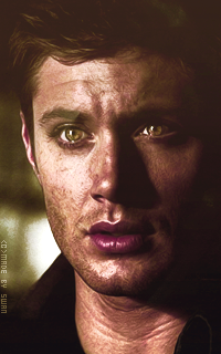 JENSEN ACKLES 512895dzsefz