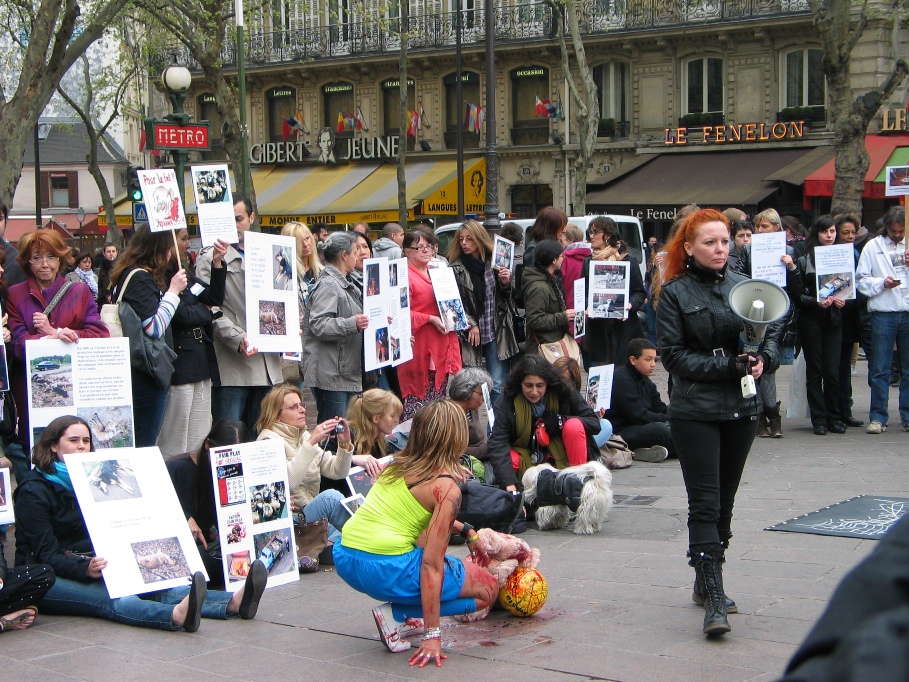 09 - Manifestation contre le massacre des animaux en Ukraine - 31 mars 2012 515584IMG8374