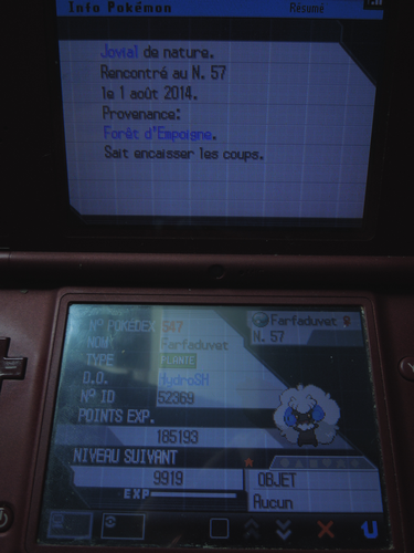 [ShinysHunters' Teams Cup n°8] Rapports et Classements   - Page 7 517209Farfaduvet2