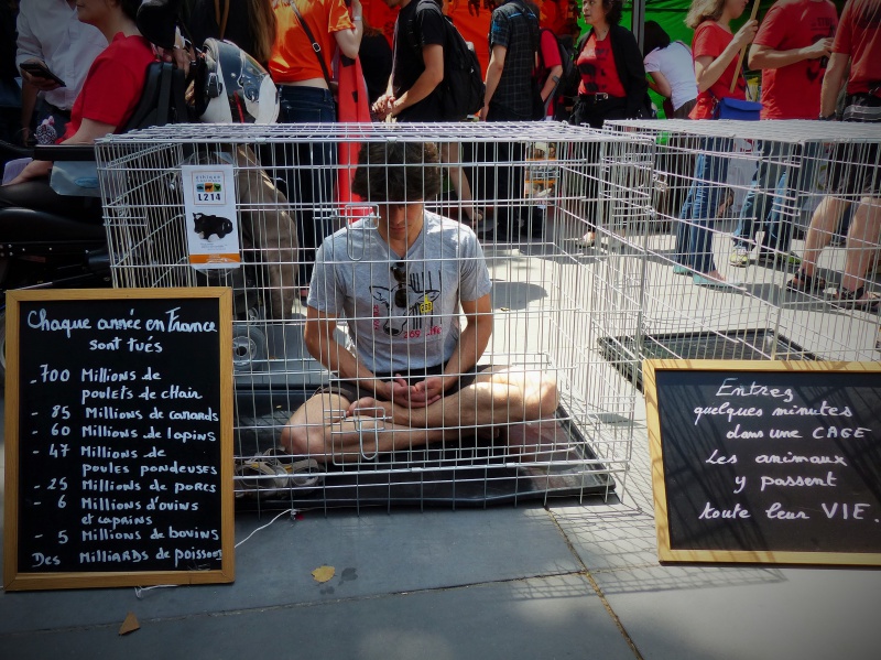 24 - Marche pour la fermeture des abattoirs - Paris - 13 juin 2015   521077P1150633