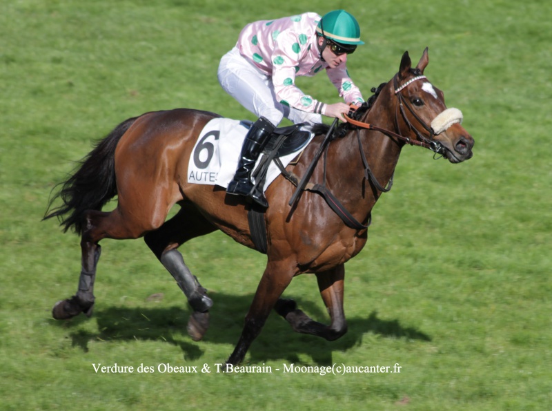 Photos Auteuil 17-04-2016 - Page 2 523480IMG0451