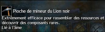 Coffres du Lion Noir : ce qu'il faut savoir 525743Piochedemineurdulionnoir25