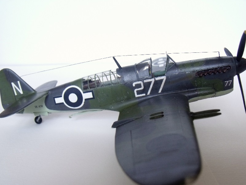 [Special Hobby] Fairey Firefly F. Mk. I 533038FaireyFirefly098